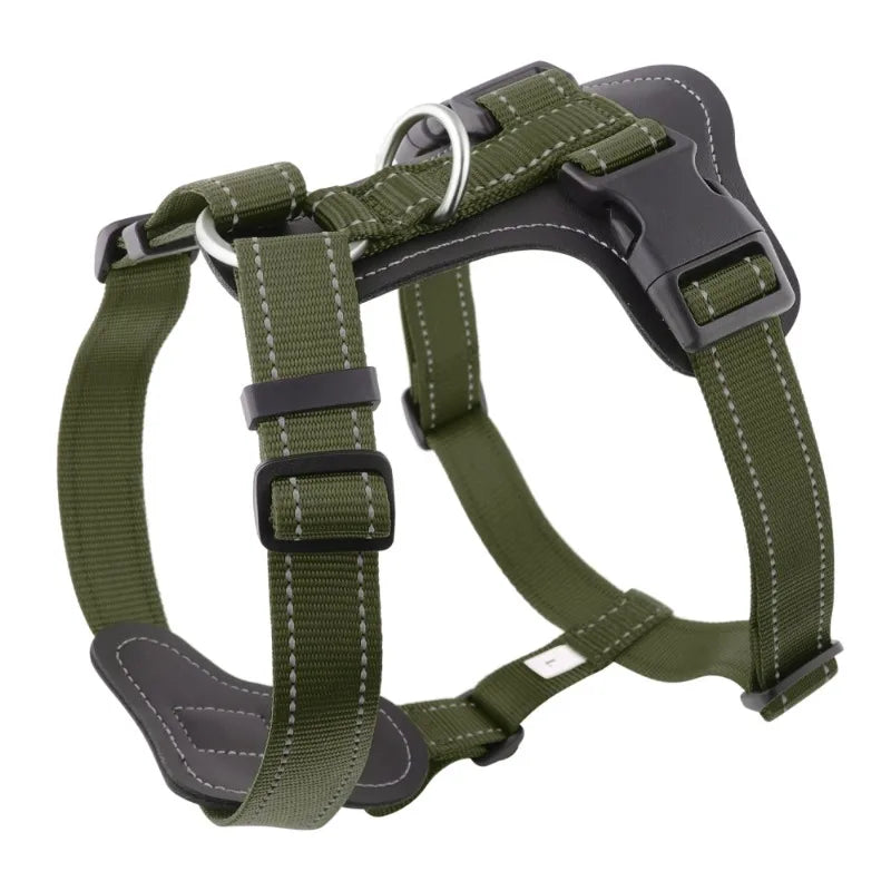 Ensemble Harnais Gilet Cuir Chien
