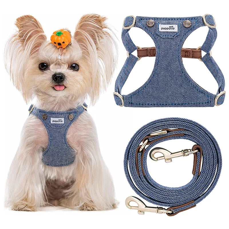 Harnais Laisse Doux Chiot Anti-Traction