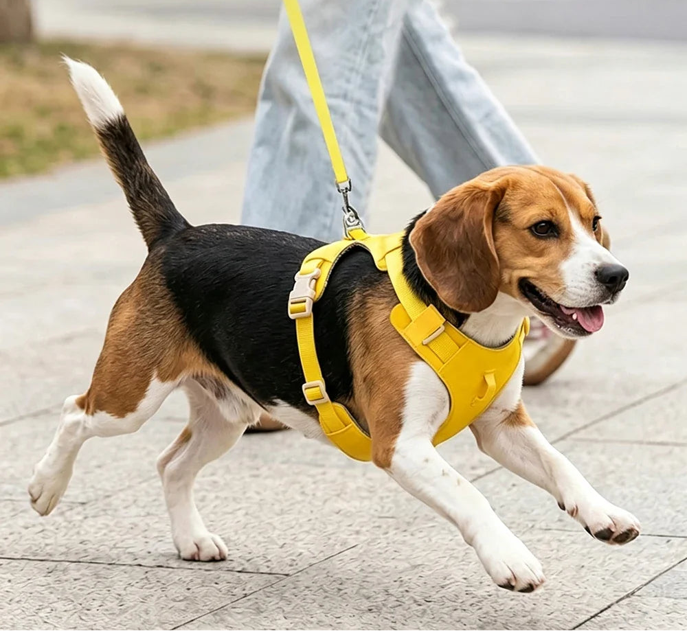 Harnais Anti-Traction Léger pour Chien