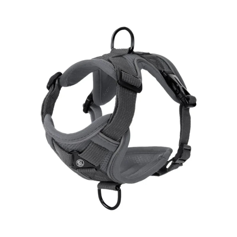 Harnais Anti-Traction Réglable pour Petit Chien & Chat
