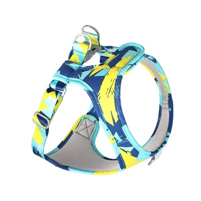 Ensemble Laisse et Collier Chien Chat Maille Polyester Réglable