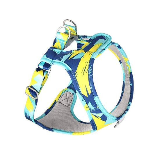 Ensemble Laisse et Collier Chien Chat Maille Polyester Réglable