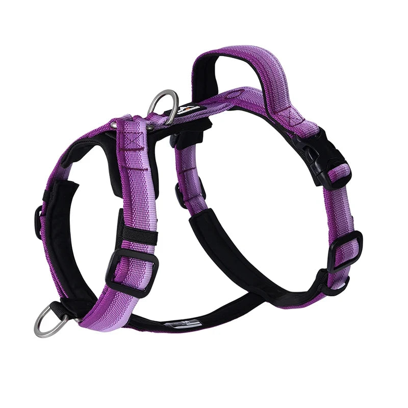 Harnais Anti-Traction Dégradé pour Grand Chien
