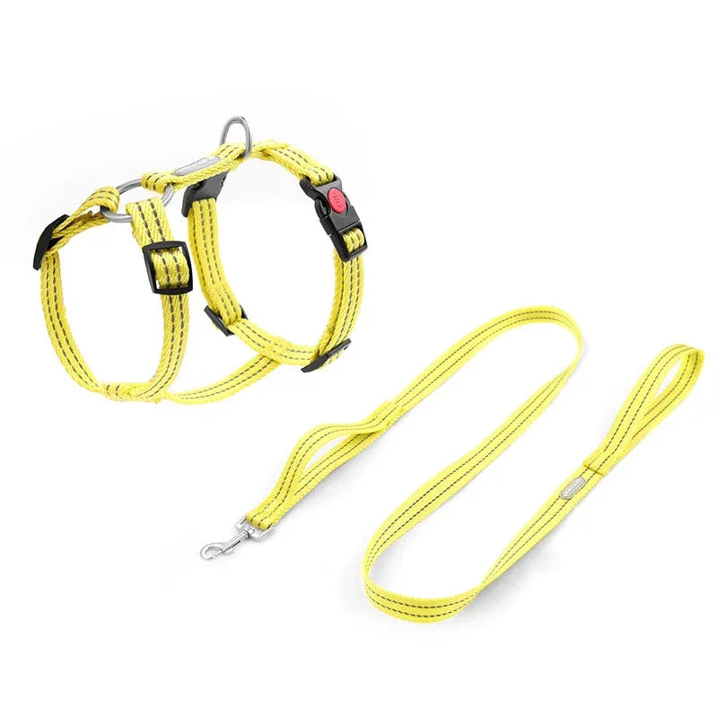 Harnais Anti-Évasion H pour Chien