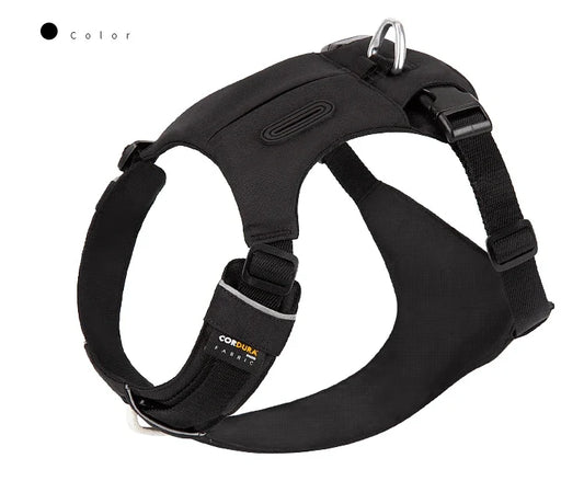 Laisse Réfléchissante pour Petit & Moyen Chien