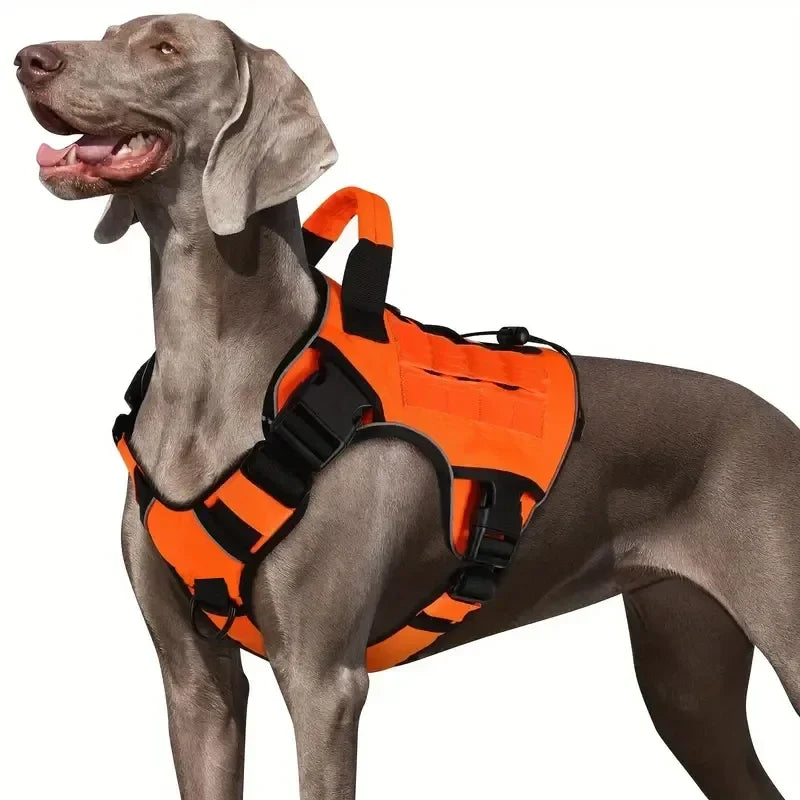Harnais Tactique Militaire Anti-Traction pour Grands Chiens