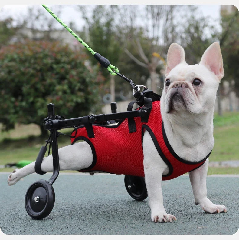 Harnais d'Assistance Chien Mobilité Réduite
