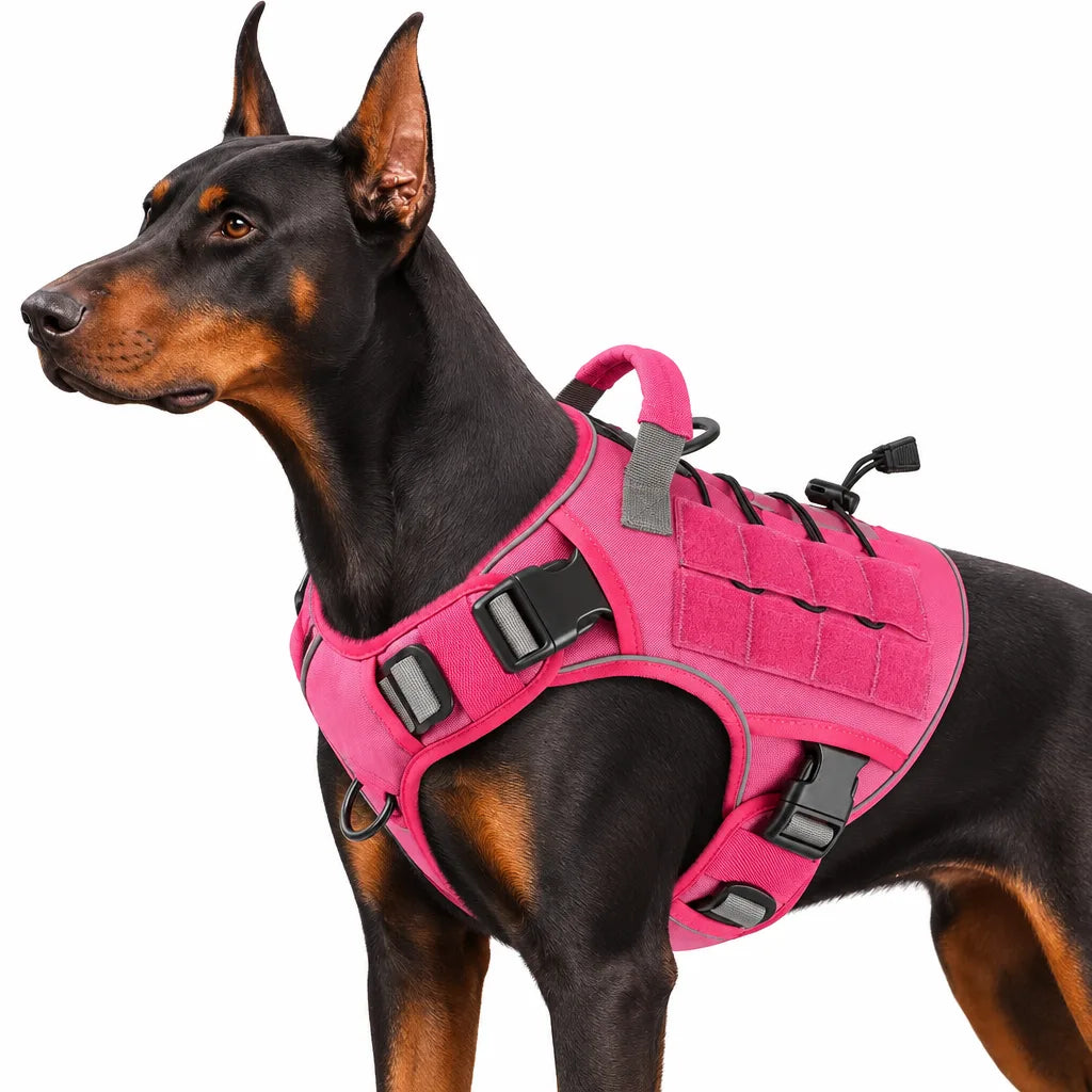 Harnais tactique chien