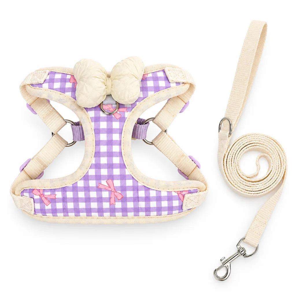 Harnais pour petit chien