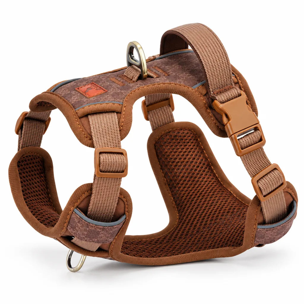 Harnais chien cuir réglable