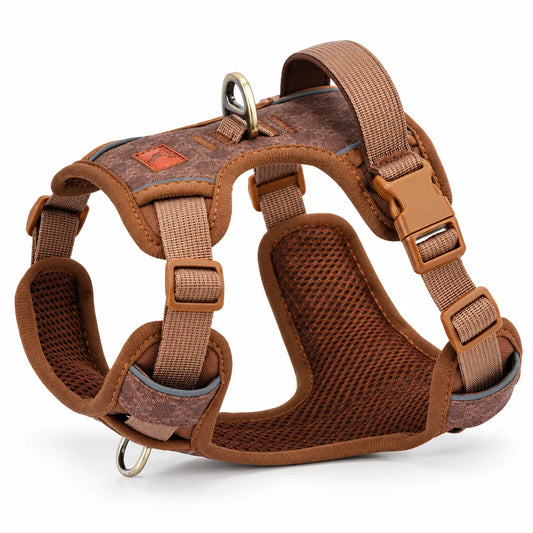 Harnais chien cuir réglable