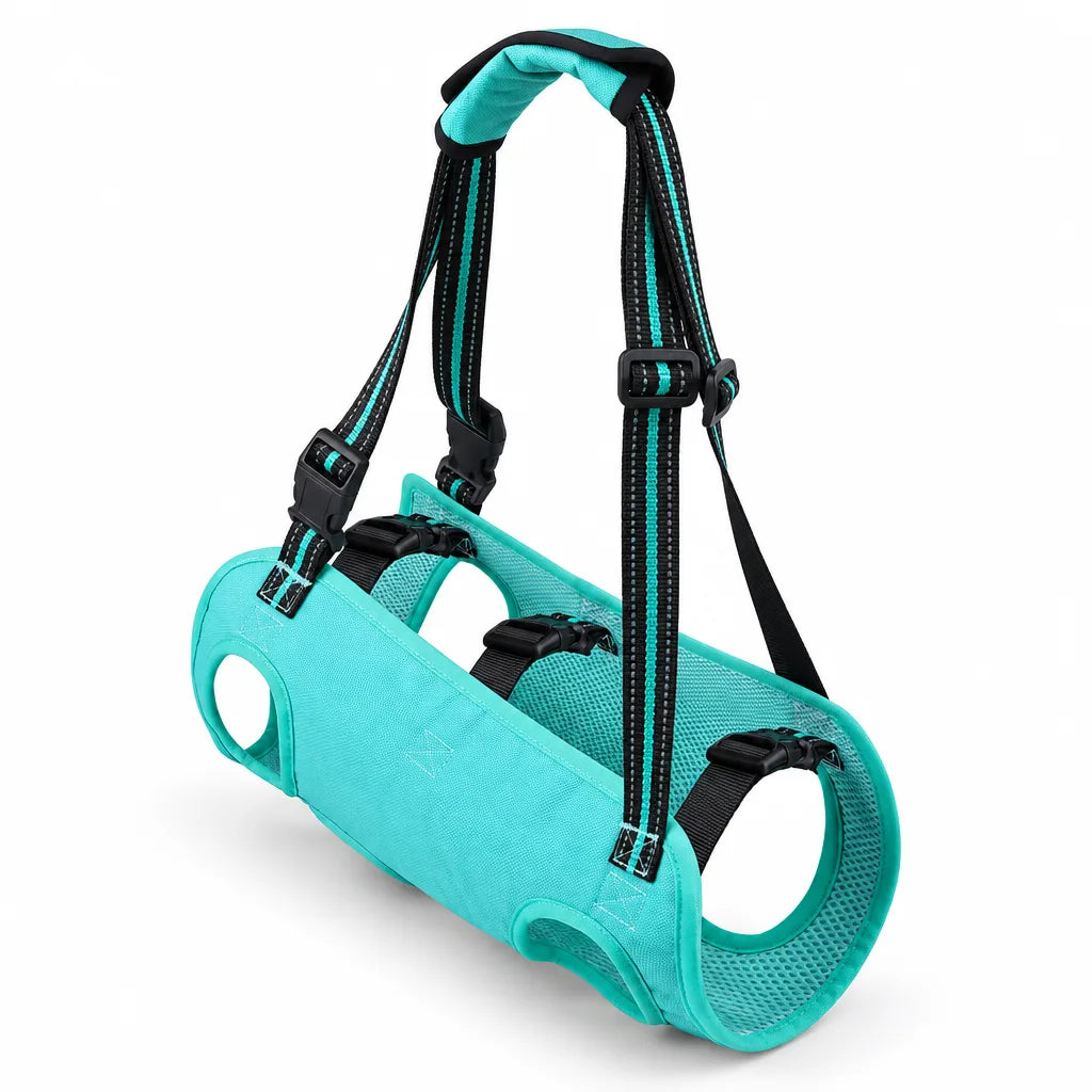 Harnais de levage chien