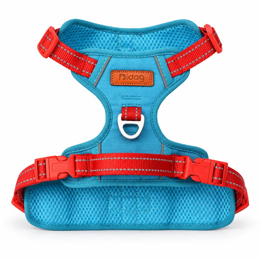 Harnais chien nylon