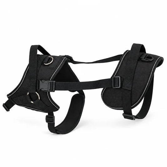 Harnais de levage pour